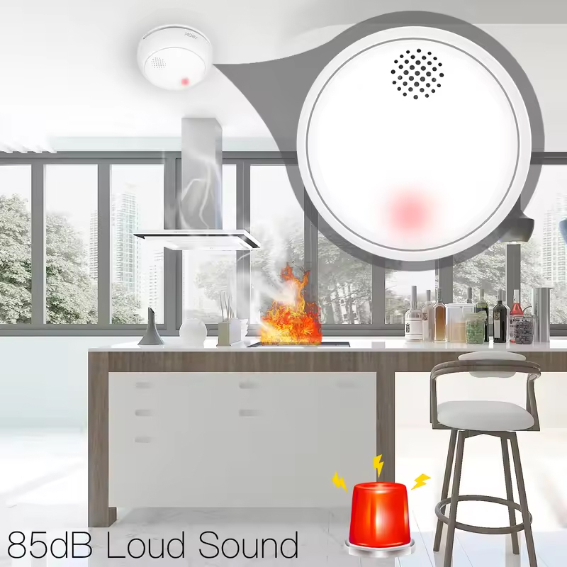 MOES ZigBee 스마트 무선 연기 감지기 화재 8 - Smart Home Moes 리뷰 및 가격